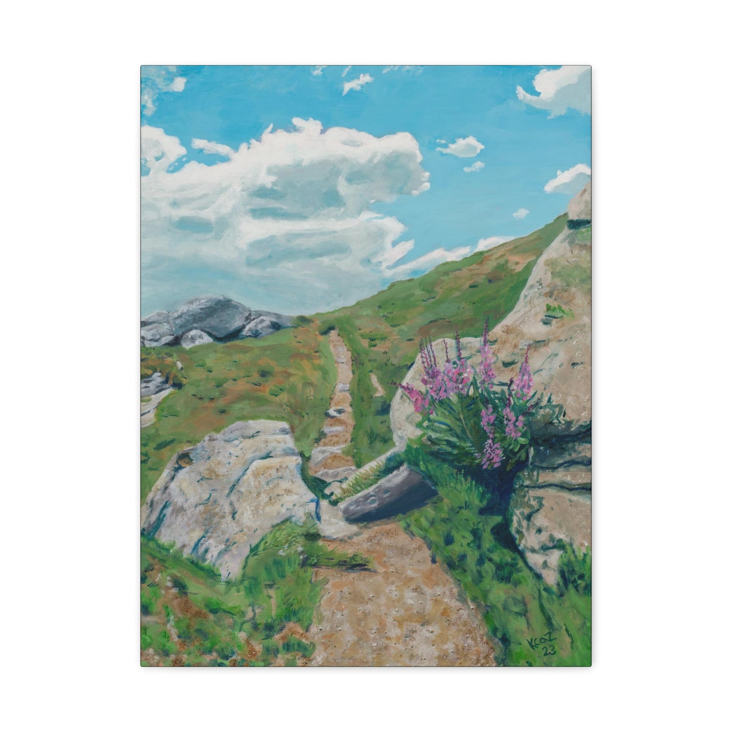Canvas