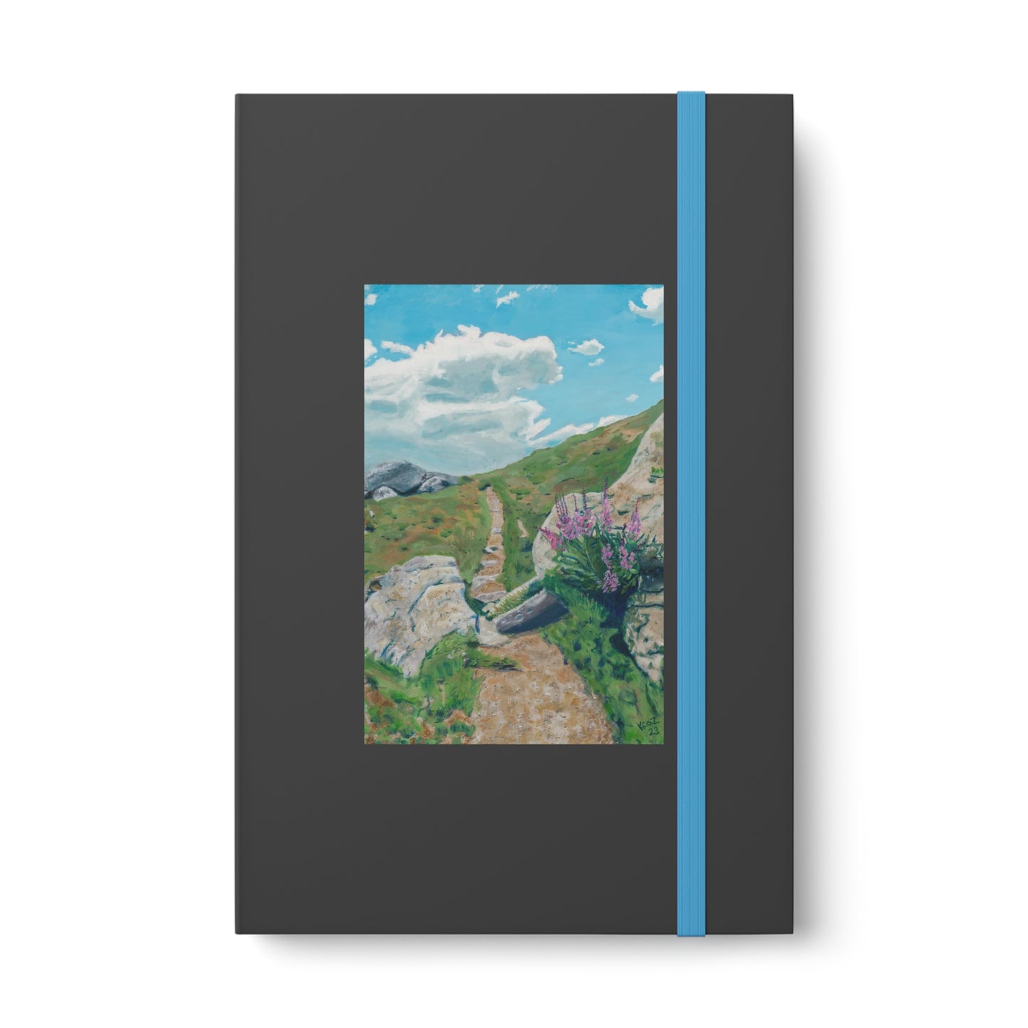 Color Contrast Notebook - Ruled