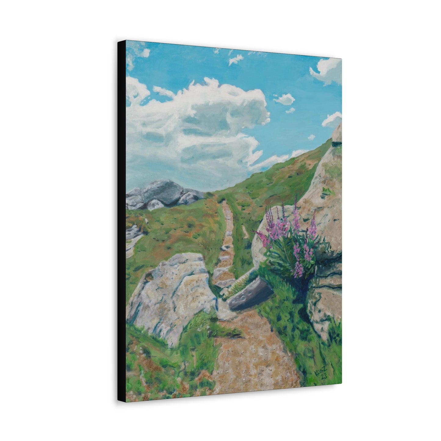 Canvas