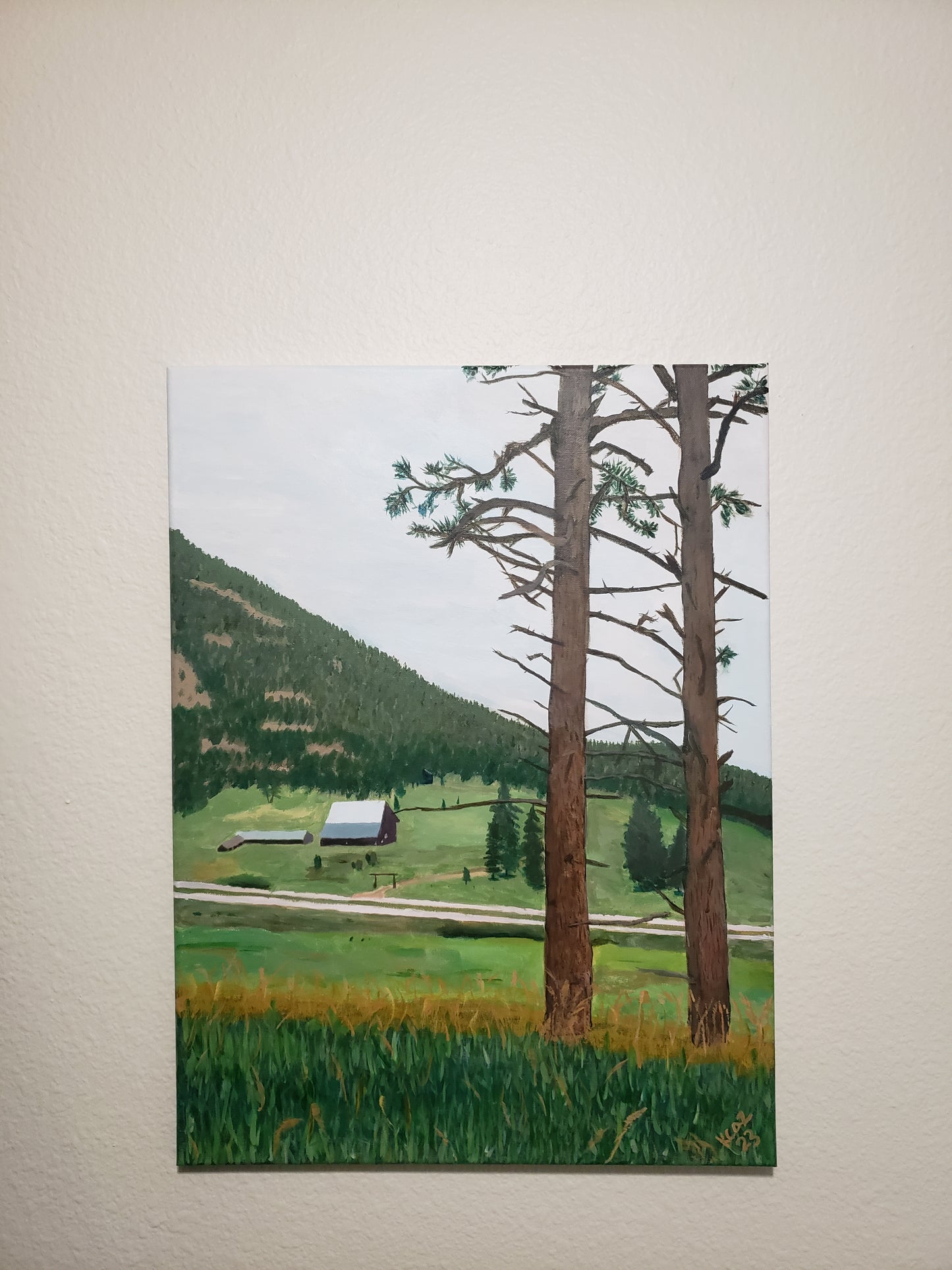 Outside Conifer-18x24