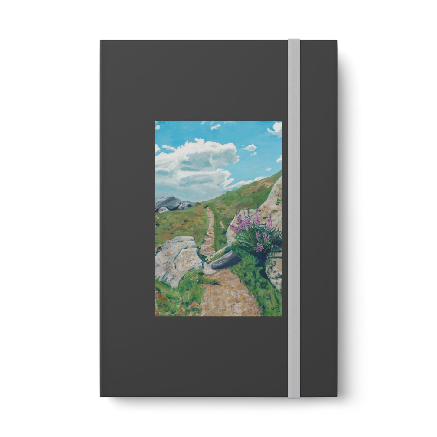Color Contrast Notebook - Ruled