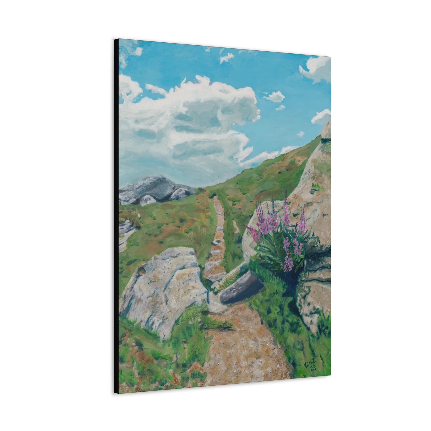 Canvas