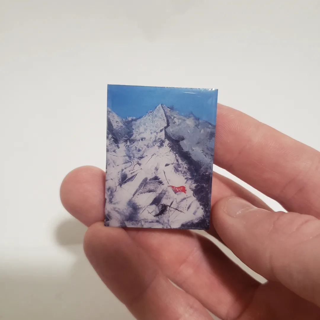 STEEP pin