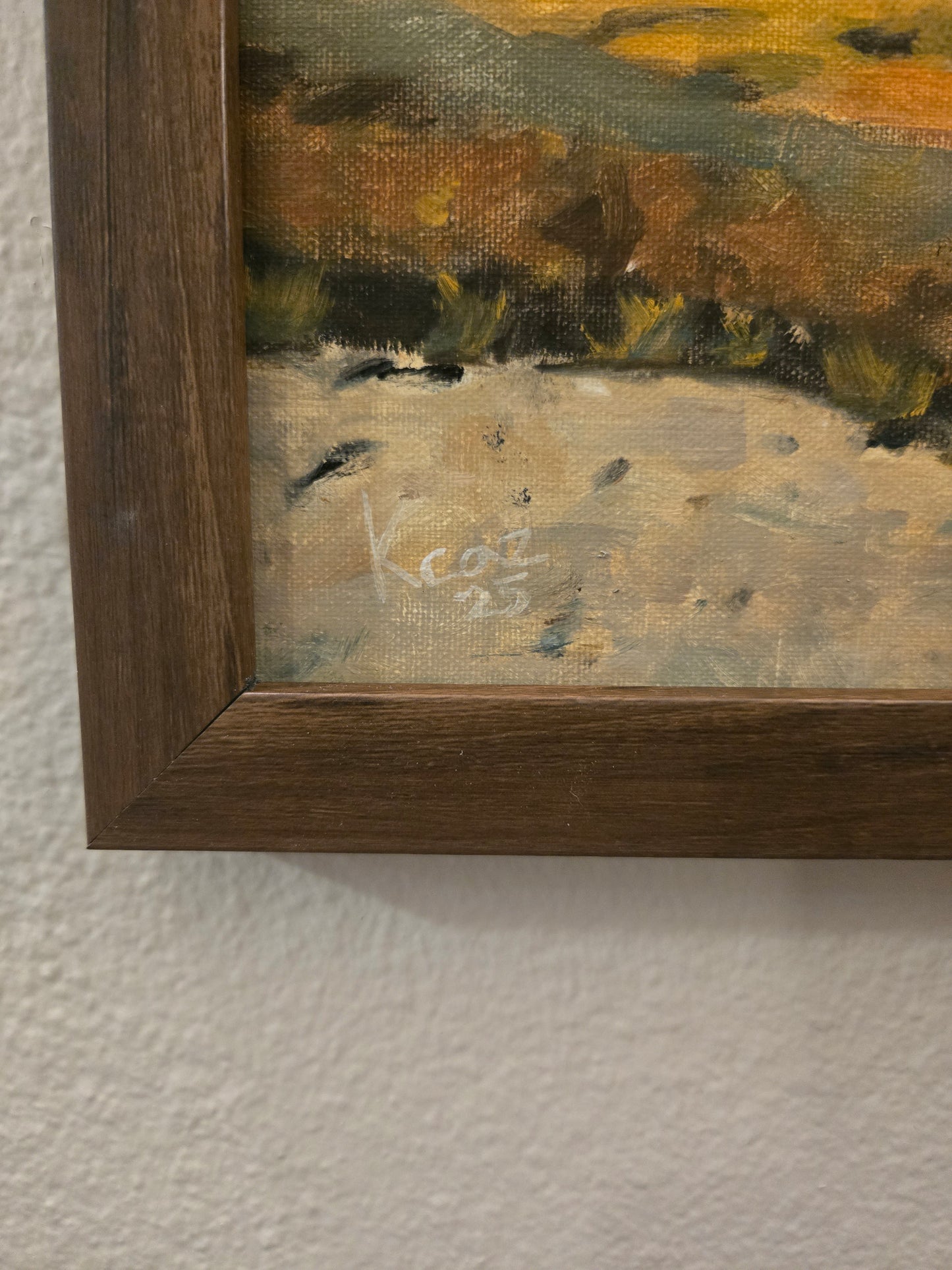 Rocky Mountain National Park.